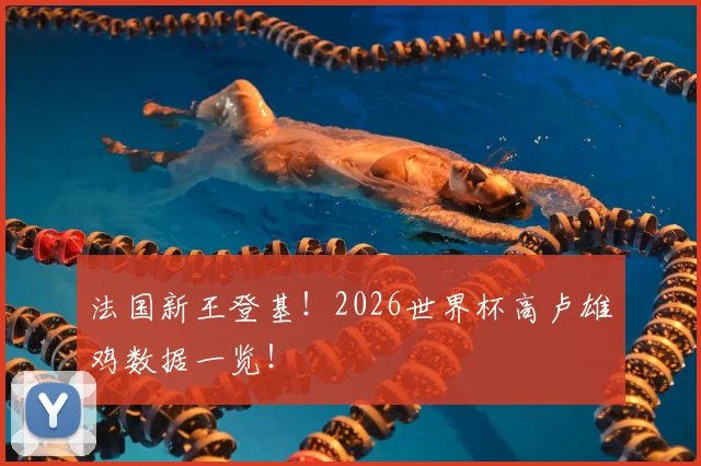 法国新王登基！2026世界杯高卢雄鸡数据一览！