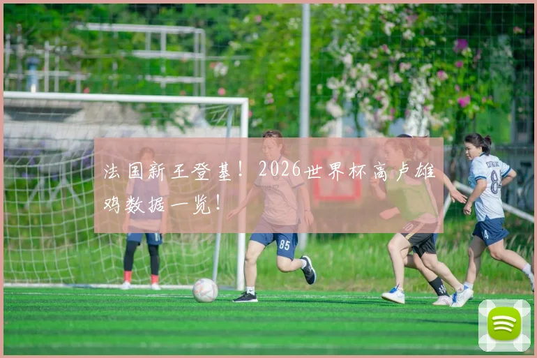法国新王登基！2026世界杯高卢雄鸡数据一览！