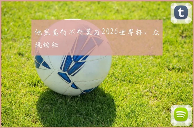 他究竟行不行莱万2026世界杯，众说纷纭