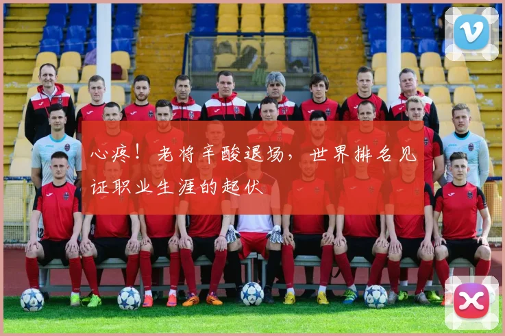 心疼！老将辛酸退场，世界排名见证职业生涯的起伏