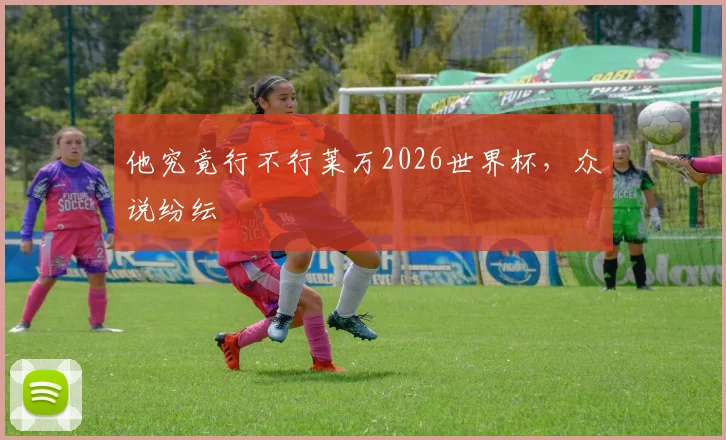 他究竟行不行莱万2026世界杯，众说纷纭