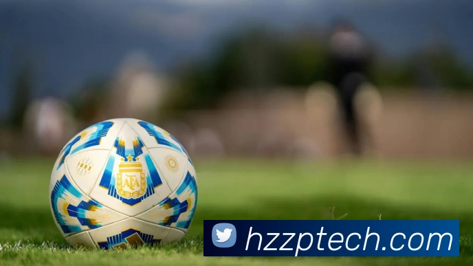 互动解说服务